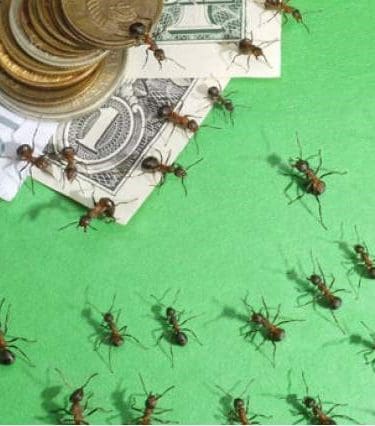 ¿Qué son los Gastos hormiga? ¿Se pueden evitar?